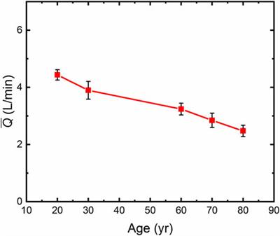 Quantitative analysis of systemic perfusion and cerebral blood flow in the modeling of aging and orthostatic hypotension